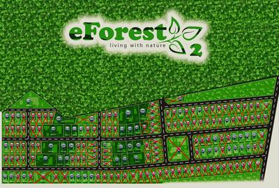 Crevedia, Dambovita - 6