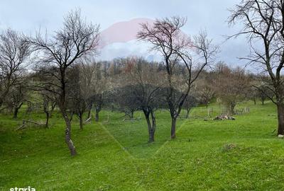 Teren de 48428 mp, în Vințu de Jos - 3