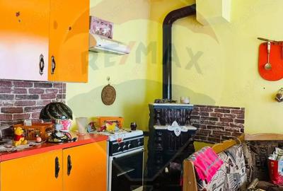 Casa / Vila cu 3 camere de vanzare - 5