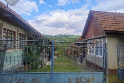 Casă cu 3 camere cu Teren 5000 Mp în Sârbi - 4