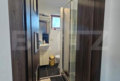 Casă cu 5 camere semidecomandat cu Teren 380 Mp în Dumbrăvița - 13