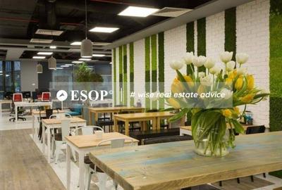 Spațiu comercial, de 580 mp, în Barbu Văcărescu - 3