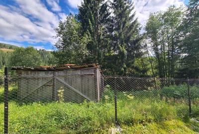 Casă cu Teren 2543 Mp în Poiana Horea - 1