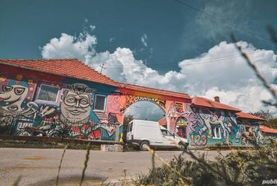 Casă cu 2 camere cu Teren 10000 Mp în Nucșoara - 1