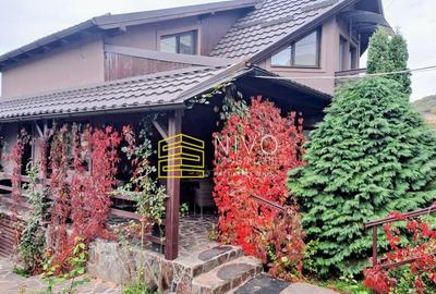 Casa singur in curte Maiad - 3