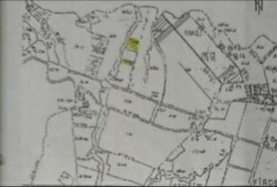 Teren de 11600 mp, în Fârdea - 1