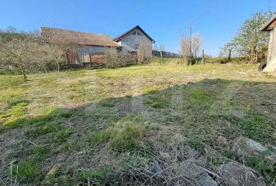 Casă cu 2 camere cu Teren 15000 Mp în Central - 10