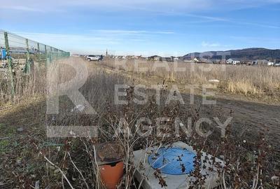 Teren Construcții intravilan de 890 mp, în Cristian - 4