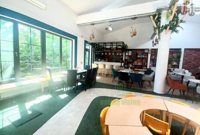 Spatiu comercial/restaurant cu loc de joaca de poveste, zona de lacuri, Berceni - 6