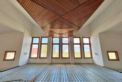 De vanzare pensiunea "Casa Alba" Pecica/Arad. - 11