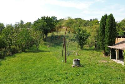 Casa de vacan?a in sat sasesc, Moarda? jude?u... - 3