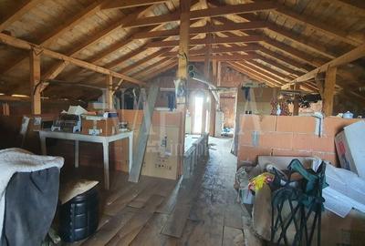 Casă individuală cu 4 camere cu Canalizare în Săldăbagiu de Munte - 11