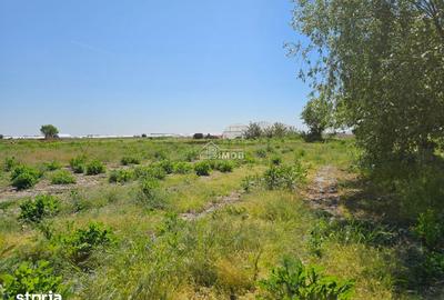 Teren de 10900 mp, în Băleni - 2