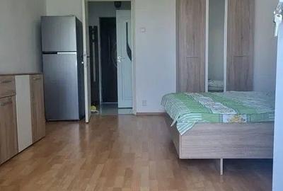 Garsonieră decomandată în Costin Georgian - 6