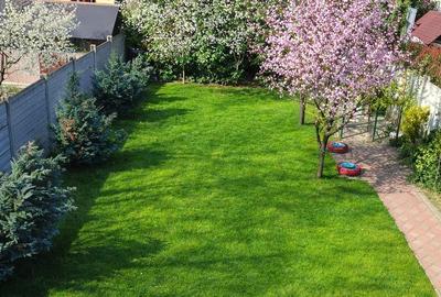 Casă cu Teren 385 Mp în Sântandrei - 5