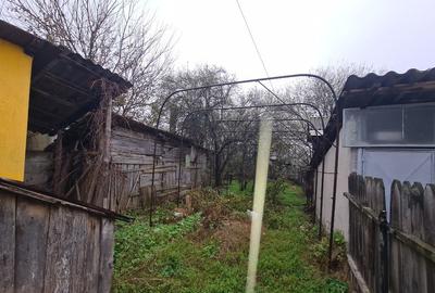 Casa, Filia?i pret negociabil - 5