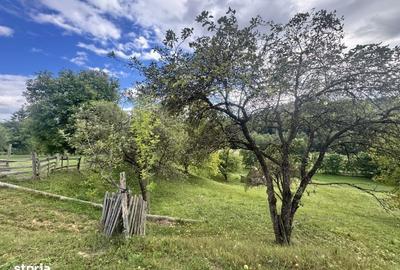 Casă cu 2 camere în Cândești - 13