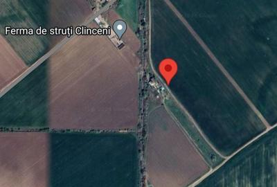 Teren de 477 mp, în Clinceni - 6
