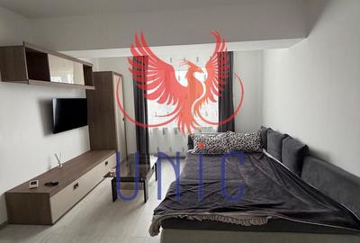 Apartament cu 1 camere nedecomandat în Cornitoiu - 5