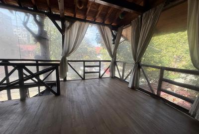 Spatiu restaurant/terasa Iuliu Maniu/Bd Timișoara cu terasa utilat complet - 5