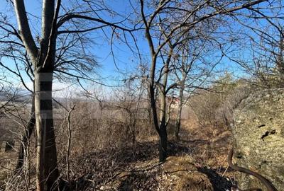 Teren de 17700 mp, în Central - 1