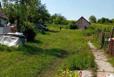 Casa la ?ara...Alba - 1