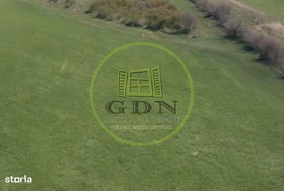 Teren de 9000 mp, în Stupini - 3