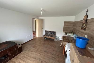 Casă cu 6 camere cu Teren 3426 Mp în Vrâncioaia - 15
