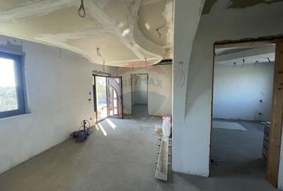 Casa / Vila cu teren Calineii Noi - 18