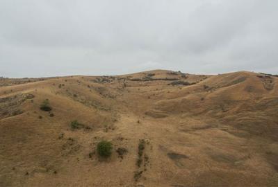 Teren de 540000 mp, în Măhăceni - 1