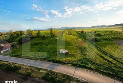 Teren de 9000 mp, în Ilieni - 5