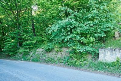 Vand teren 5000 mp, Schitul Tarata, Iasi - 3