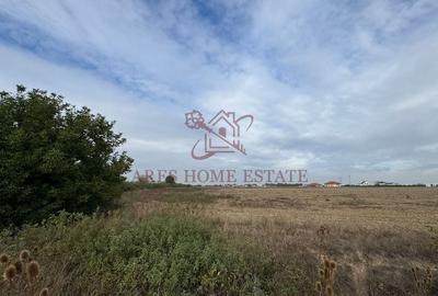 Teren parcelabil cu toate utilitatile 10.000 mp Moșnița Nouă – 18 €/mp - 3