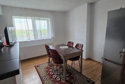 Apartament cu 2 camere decomandat în Remetea Mare - 6