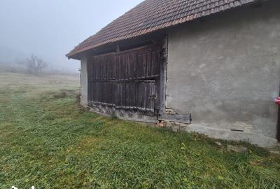 Casă cu 3 camere cu Teren 2800 Mp în Sânmihaiu Almașului - 18