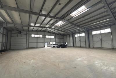 Inchiriere depozit/hala/spatiu industrial Pantelimon - Centura - 6