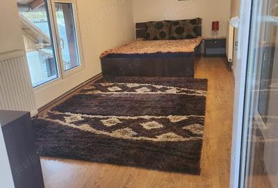 Se vinde casa in Scorteni Mislea langa biserica Sf Ghiorghe - 3