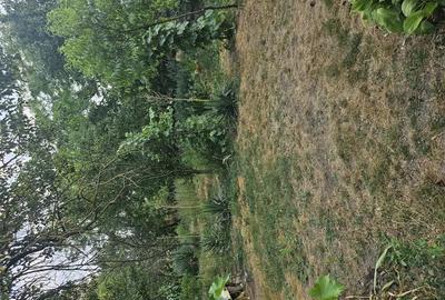 Casa de vanzare + teren ieftina - 6