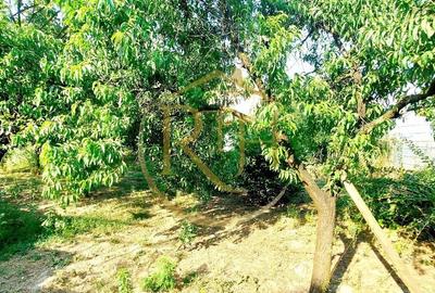 Oferim spre vanzare casa, 6 camere, 162mp utili, 809mp teren, in Giroc - 10