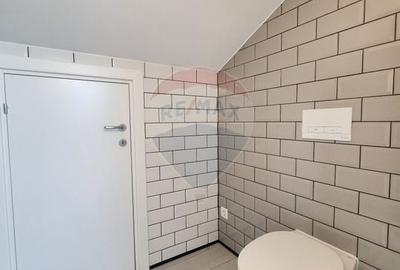 Casă cu 6 camere cu Teren 448 Mp în Aviației - 15