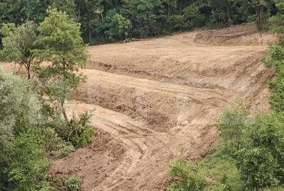 Teren extravilan, 12050 mp, la doar 19 km de orasul Bistrita - 3