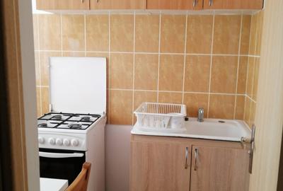 Dristor, garsoniera langa metrou, 350 euro, libera - 10