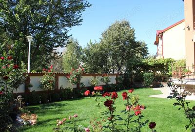 Casă cu 6 camere în Aluniș - 5