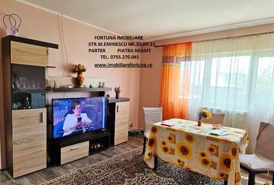 Proprietate Slobozia-Roznov, casa mansardata, teren si livada - 25