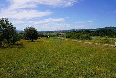 Teren Construcții intravilan de 1343 mp, în Est - 1