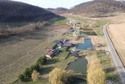 Teren de 7000 mp, în Hoghilag - 8