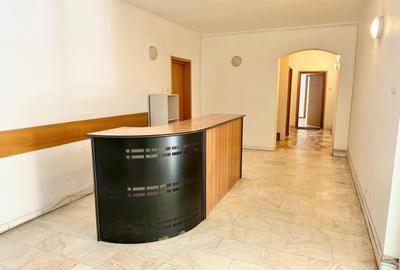 Apartament cu 8 camere în Kiseleff - 19