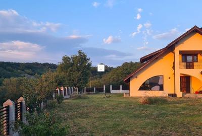 Casă cu 3 camere cu Teren 3070 Mp în Central - 19