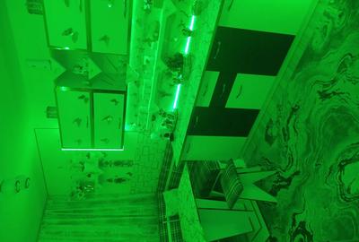 Garsonieră decomandată în Rahova - 4