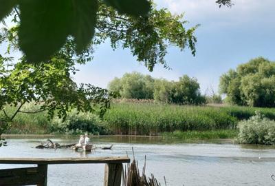 MILA 23 - CASA BATRANEASCA CU DESCHIDERE LA DUNARE 18 ML , T - 1